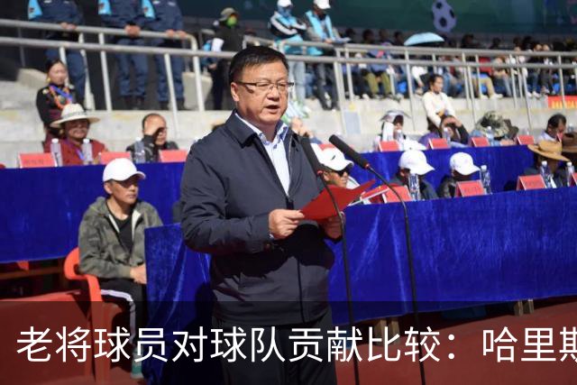 老将球员对球队贡献比较：哈里斯与克莱谁更重要