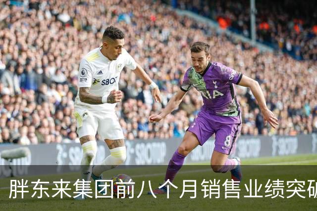 胖东来集团前八个月销售业绩突破195亿元，未来展望乐观
