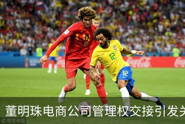 董明珠电商公司管理权交接引发关注