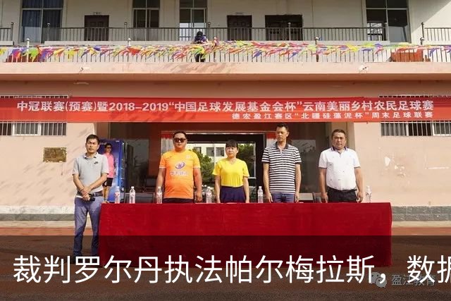 裁判罗尔丹执法帕尔梅拉斯，数据表现显著