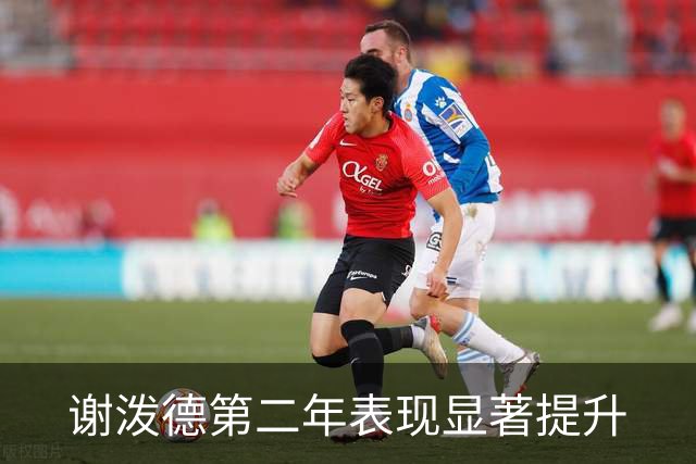 谢泼德第二年表现显著提升