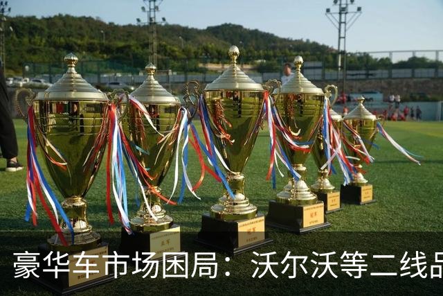 豪华车市场困局：沃尔沃等二线品牌为何难以销售？