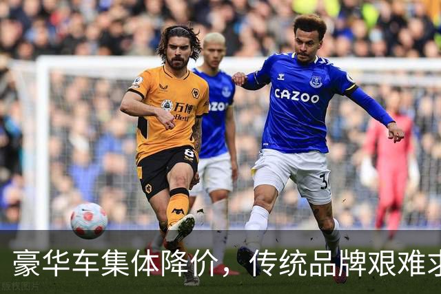 豪华车集体降价，传统品牌艰难求生