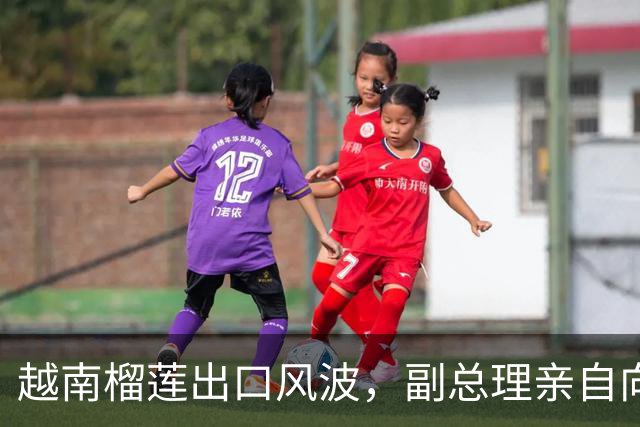 越南榴莲出口风波，副总理亲自向中方求助