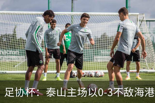 足协杯：泰山主场以0-3不敌海港，杨希助攻进球带领球队晋级四强