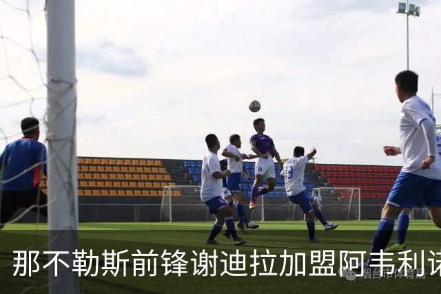 那不勒斯前锋谢迪拉加盟阿韦利诺，合同到2030年