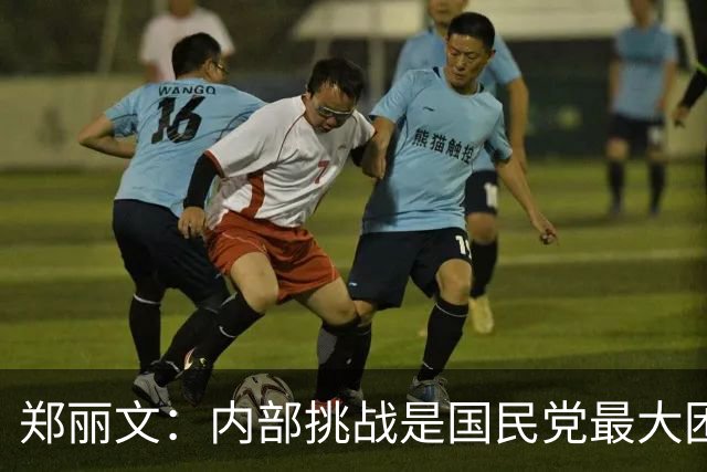 郑丽文：内部挑战是国民党最大困难 未来需团结一致