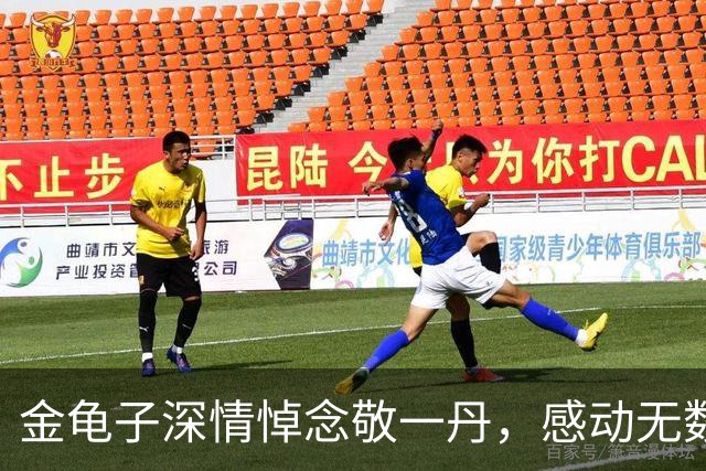 金龟子深情悼念敬一丹，感动无数网友
