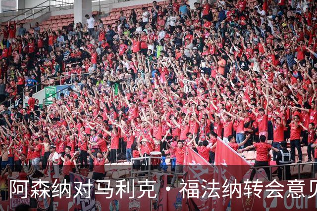 阿森纳对马利克·福法纳转会意见分歧，3400万英镑报价待定
