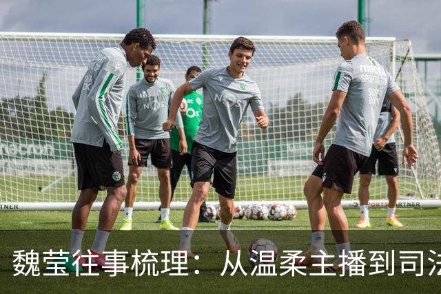 魏莹往事梳理：从温柔主播到司法对峙