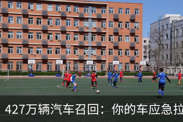 427万辆汽车召回：你的车应急拉手能摸到吗？